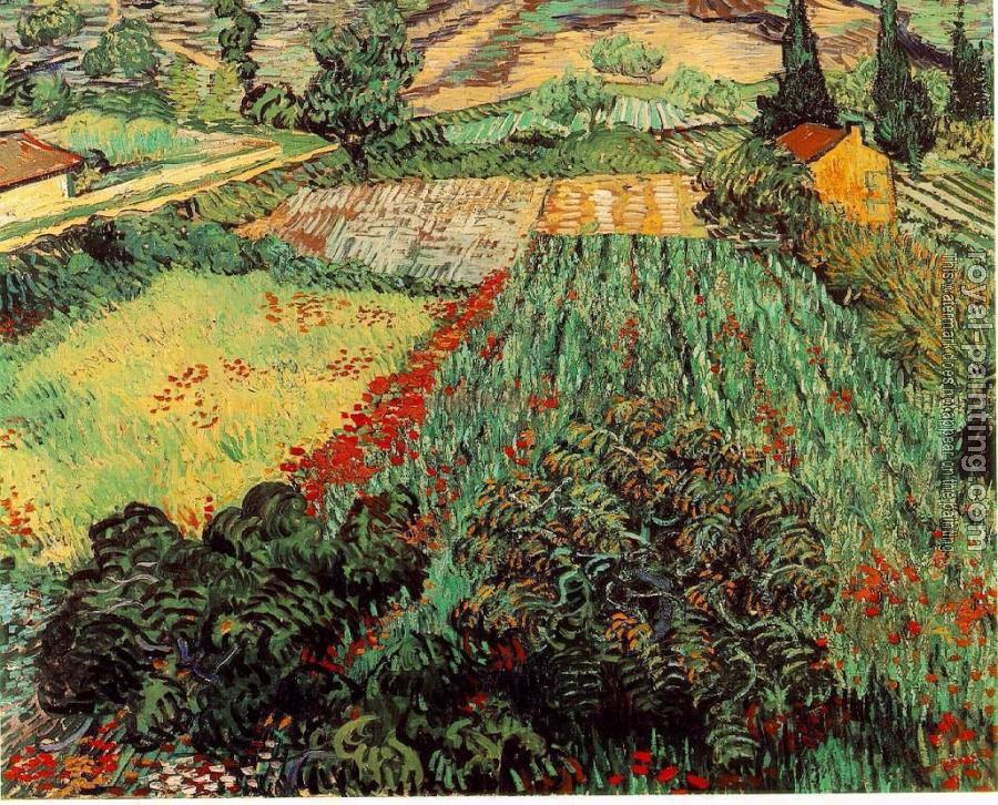 Vincent Van Gogh : Field with Poppies II
